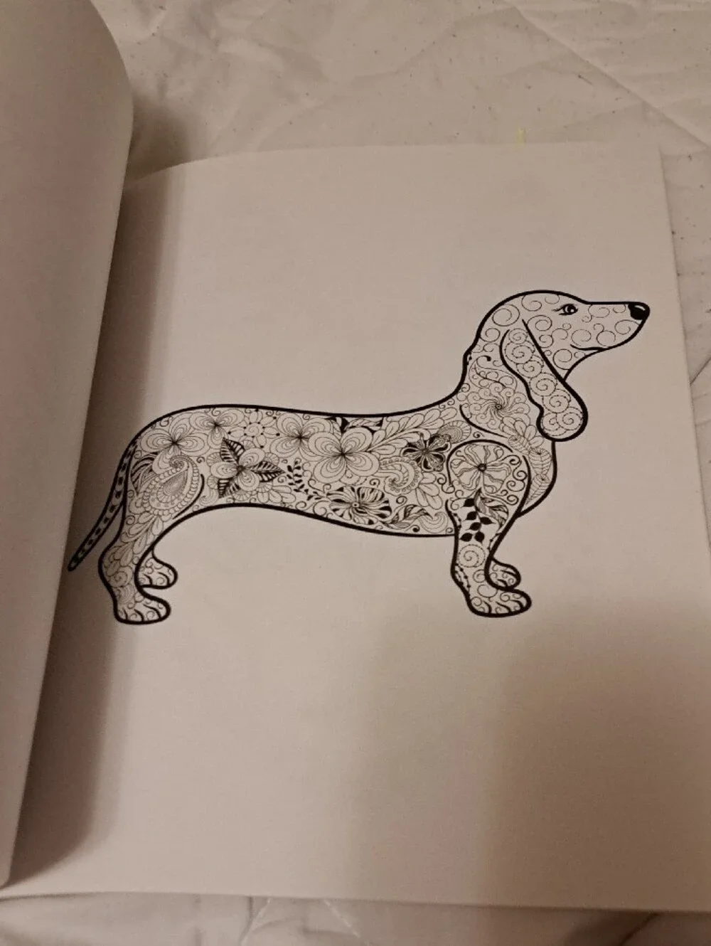 Colorama Delightful Dogs Coloring Book by Bullhead – Multicolor